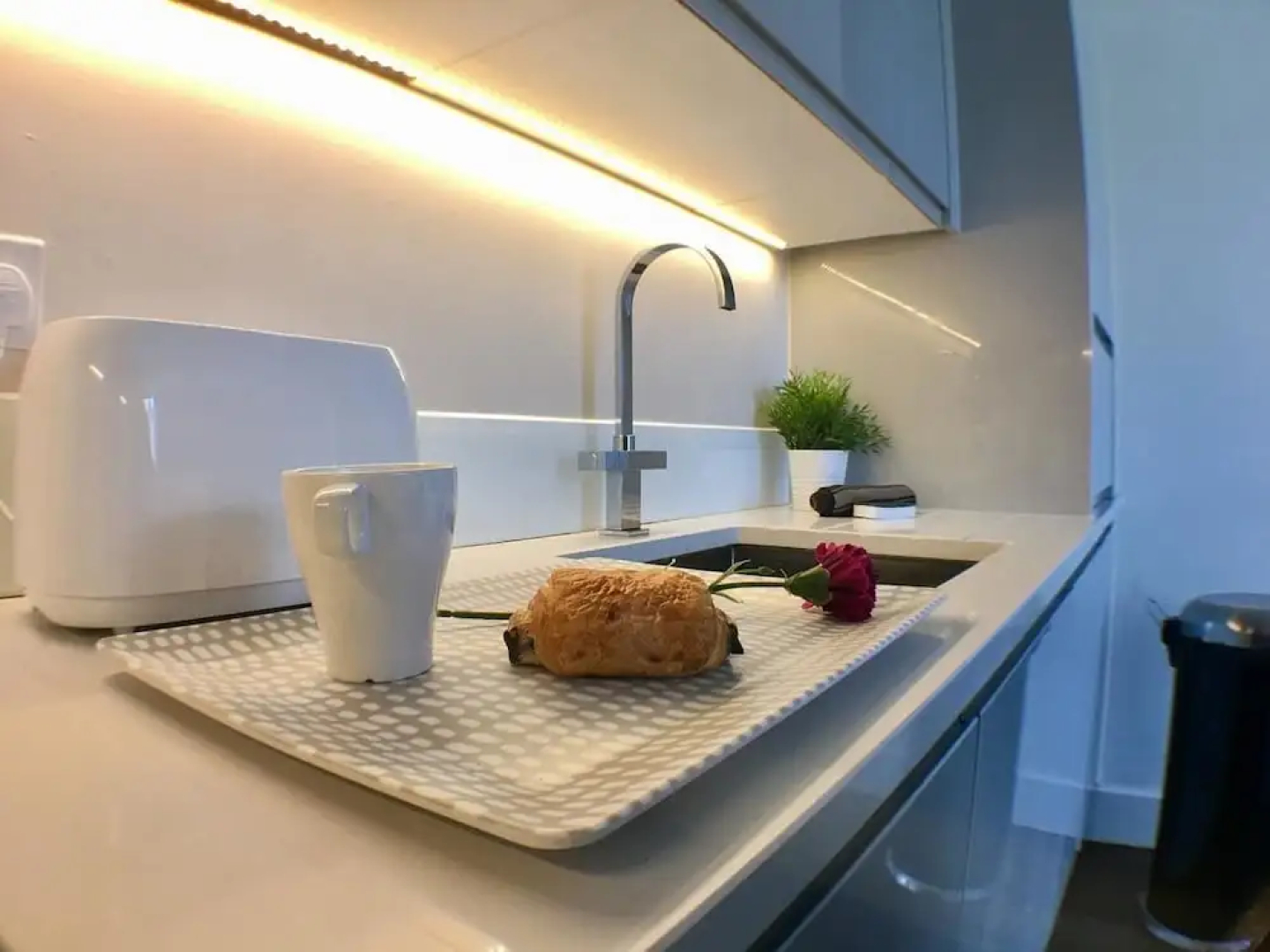 Luxurious Shelley House Apartment