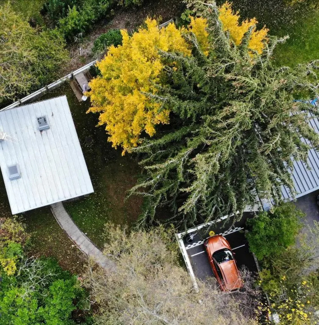 Classic Driver Home 1