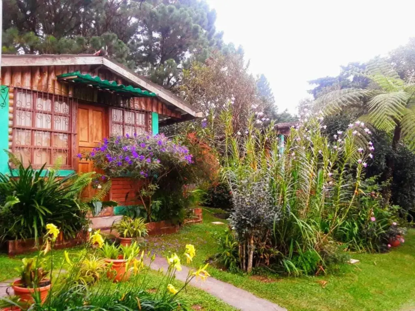 Cabanas Ave Maria