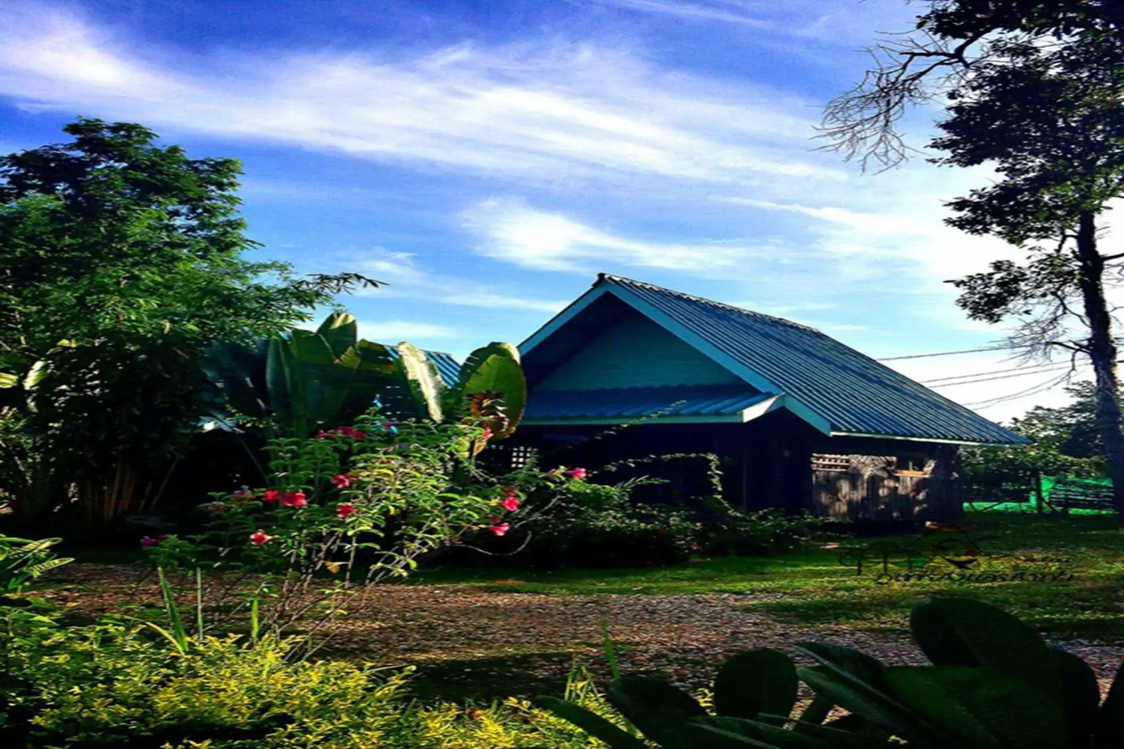 Phuphiangkhiangfah Resort