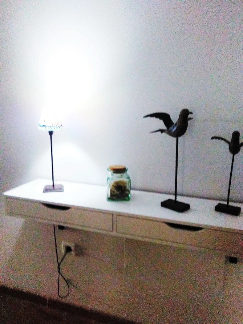 El Rincon del Viajero