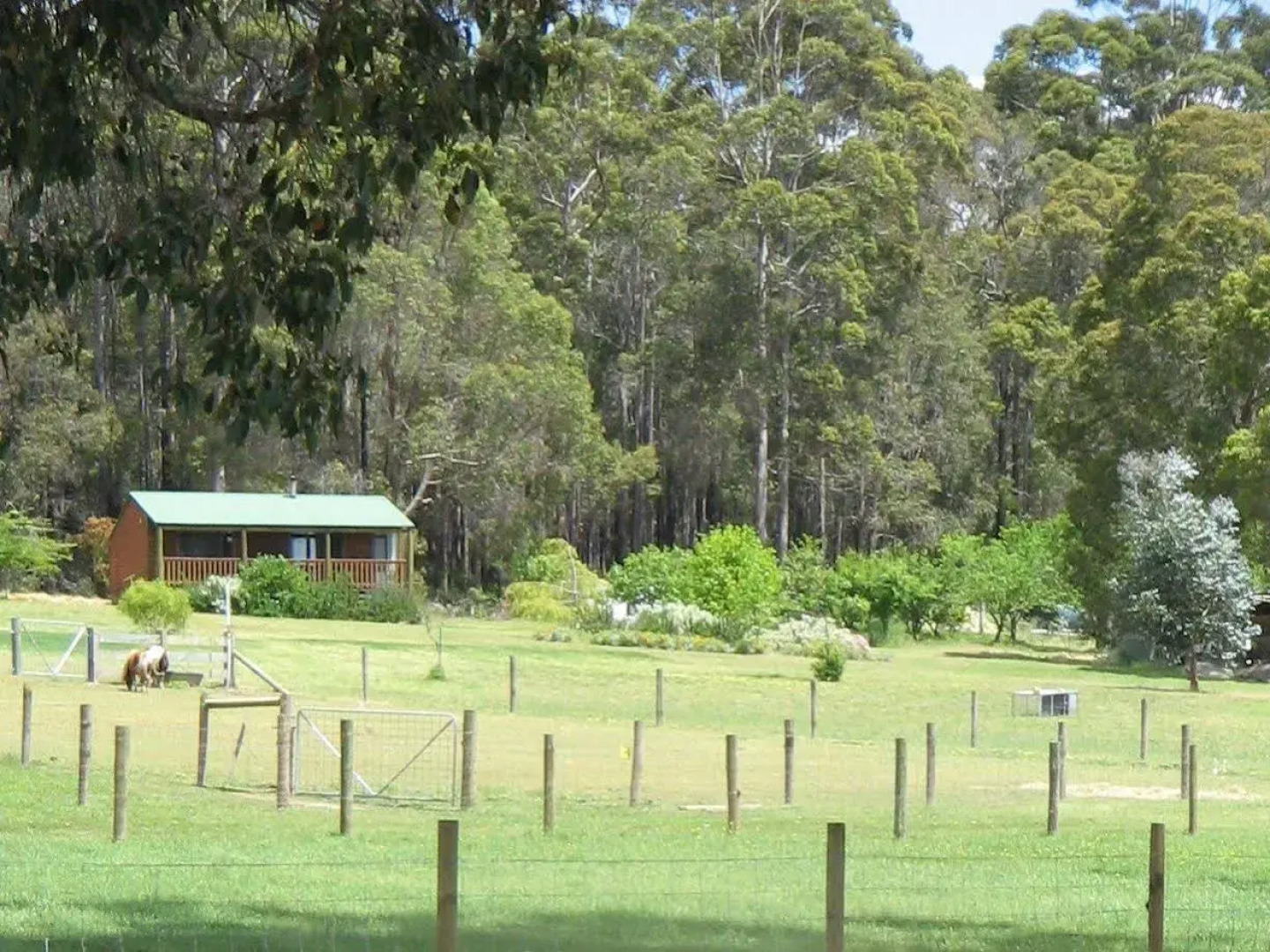 Diamond Forest Farm Stay