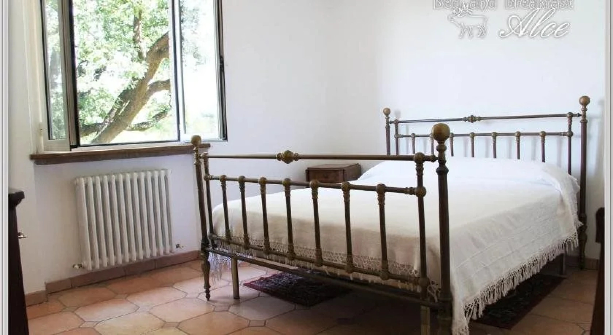 B&B Alce