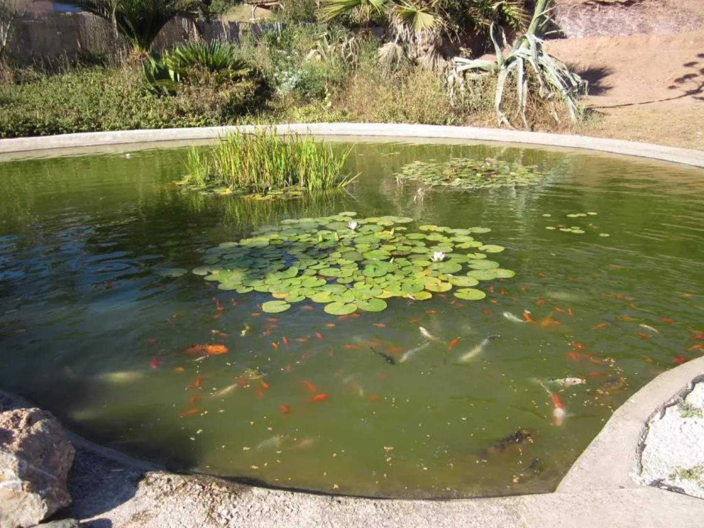 Le Verger de Sauvebonne