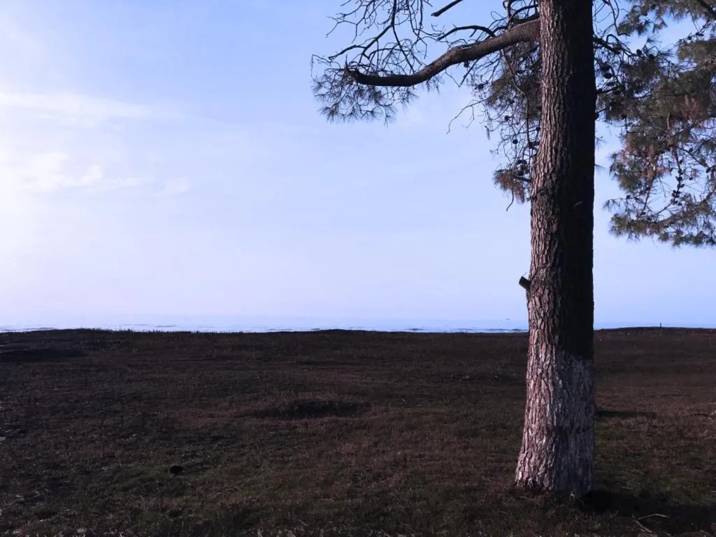 Отель Simple Pleasures Шекветили