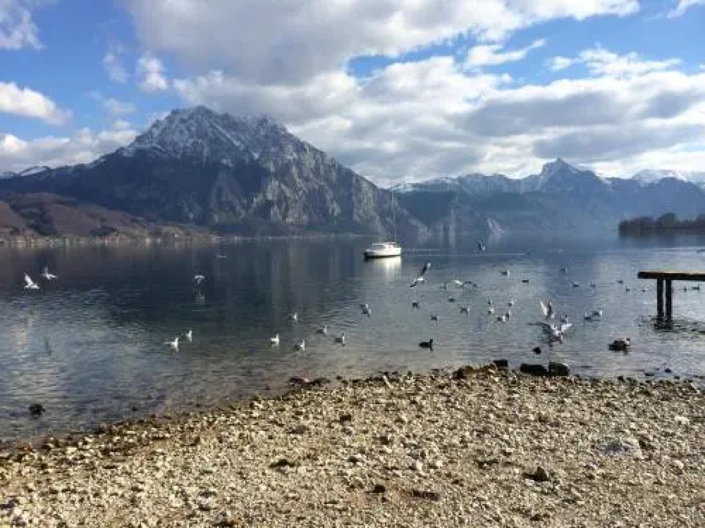 Apartment pool and lake