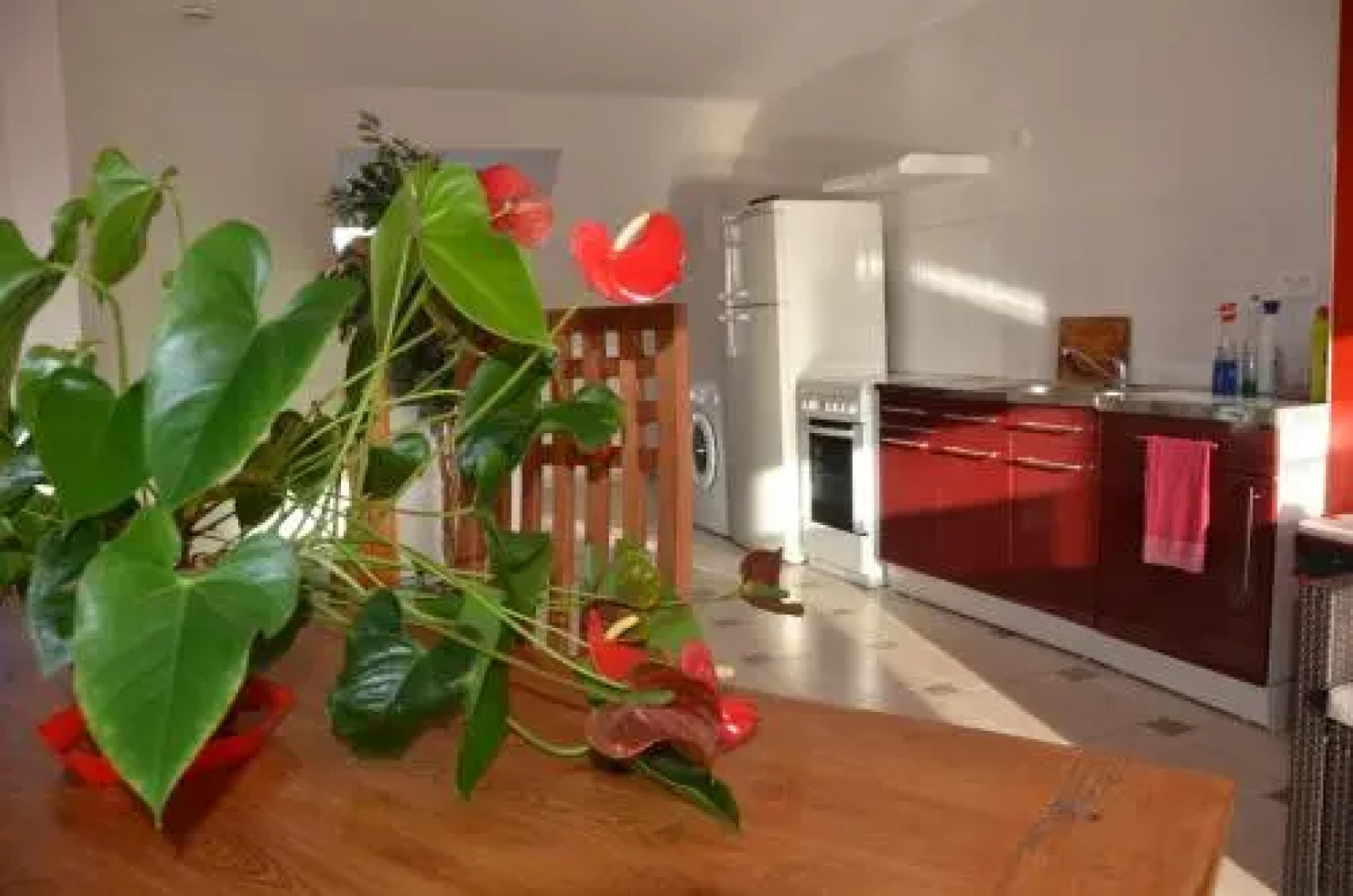 Appart Gites Avenue De La Mer