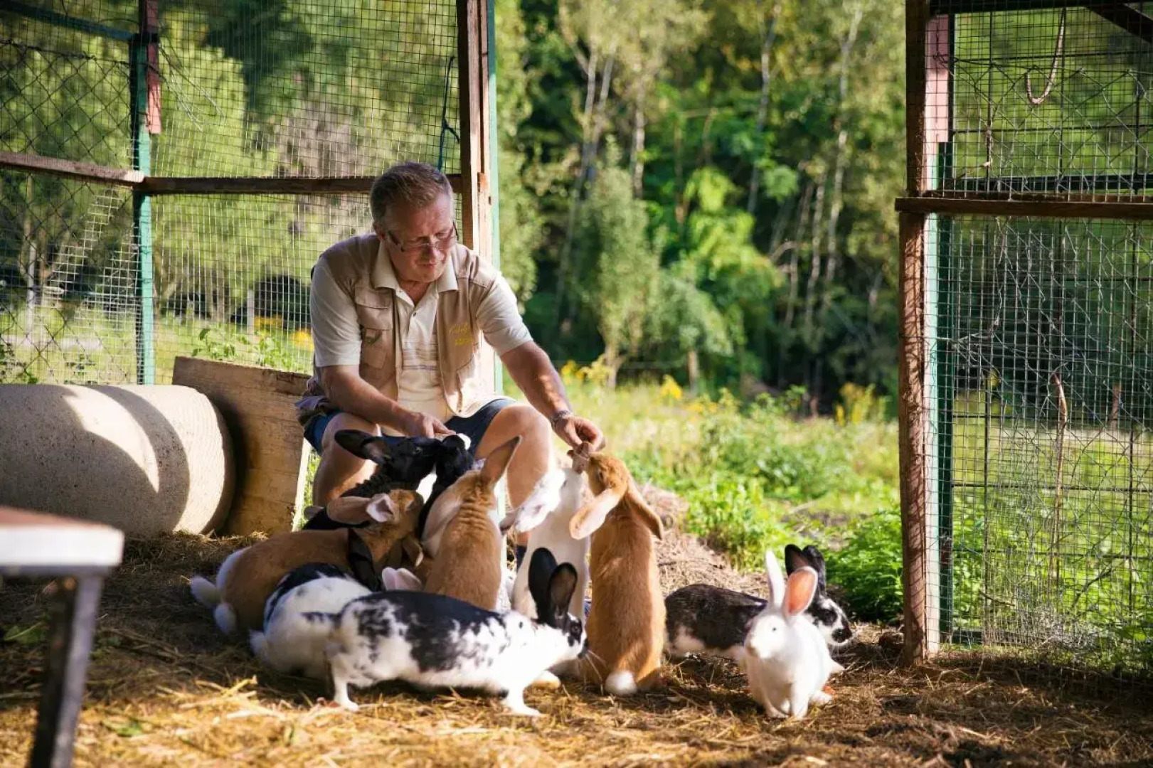 Turistična Kmetija Čebelji Gradič