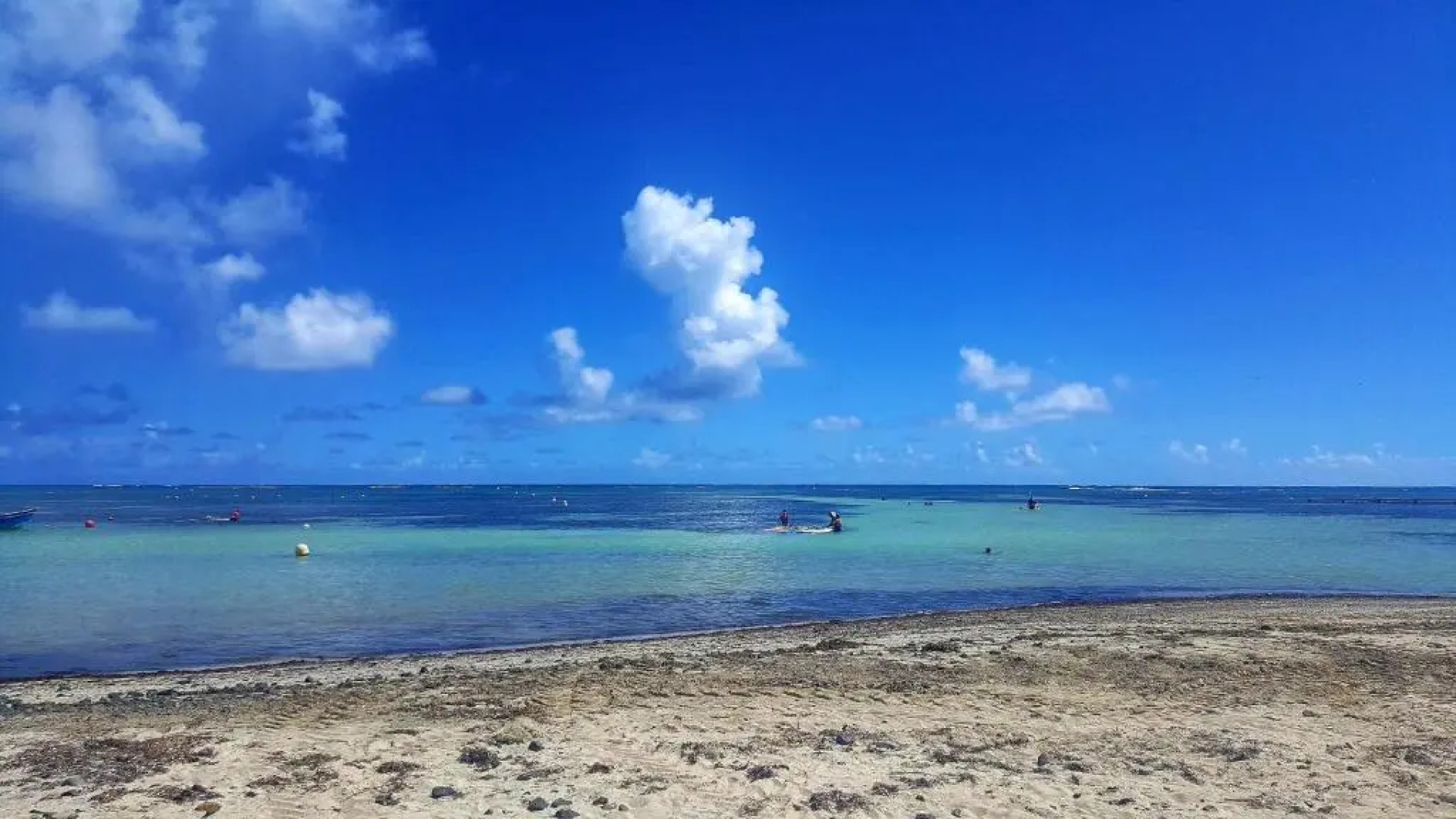 Studio Bwa Banbou dans Villa Fleurs des Iles