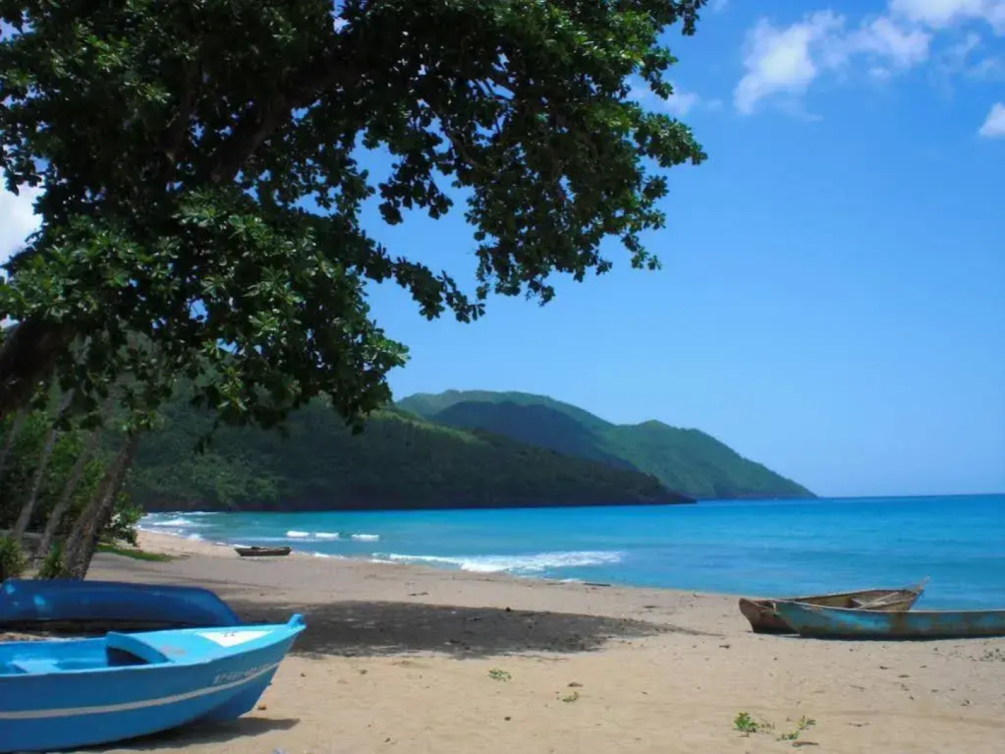 El Flamboyan Apartments