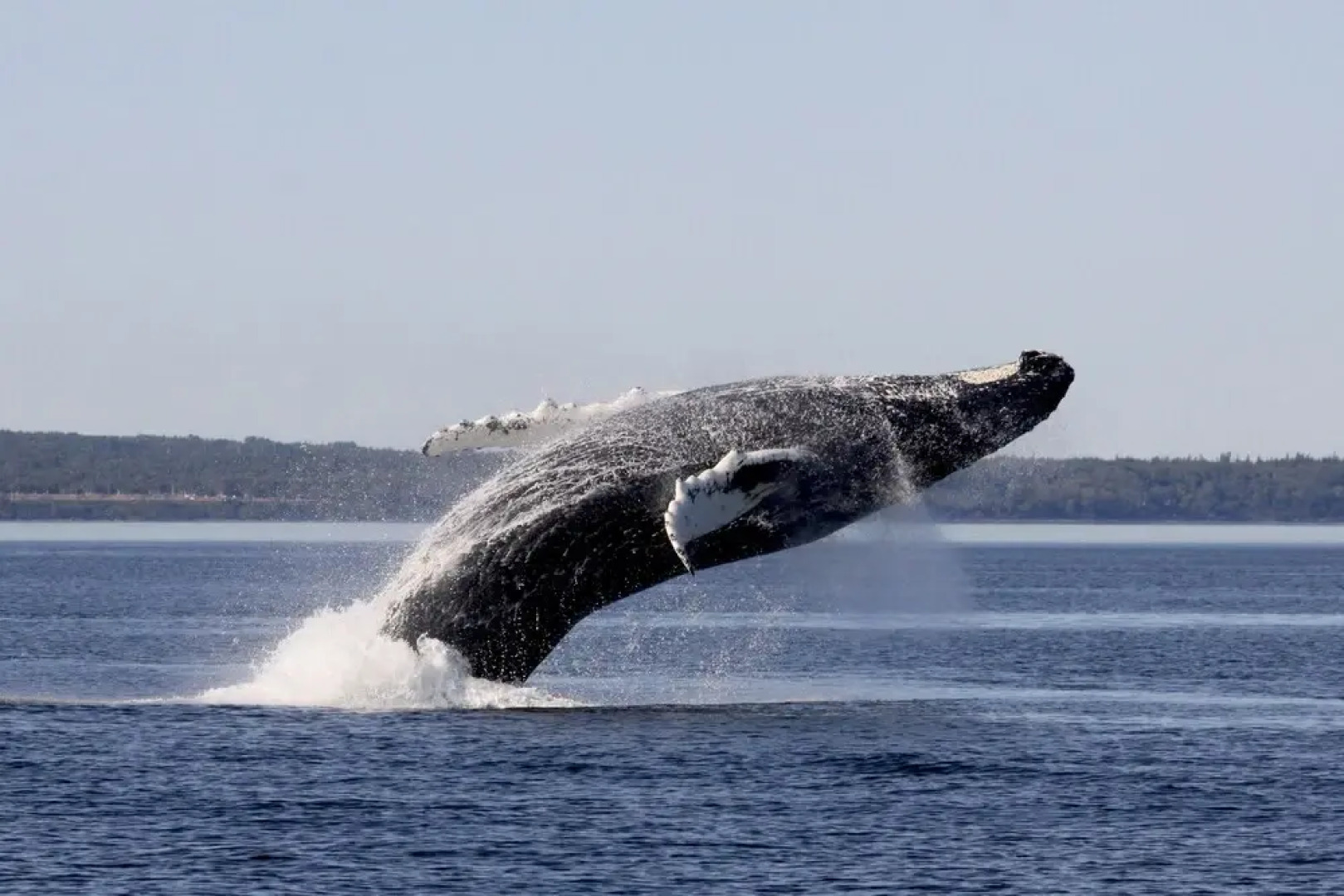 Auberge La Merveilleuse