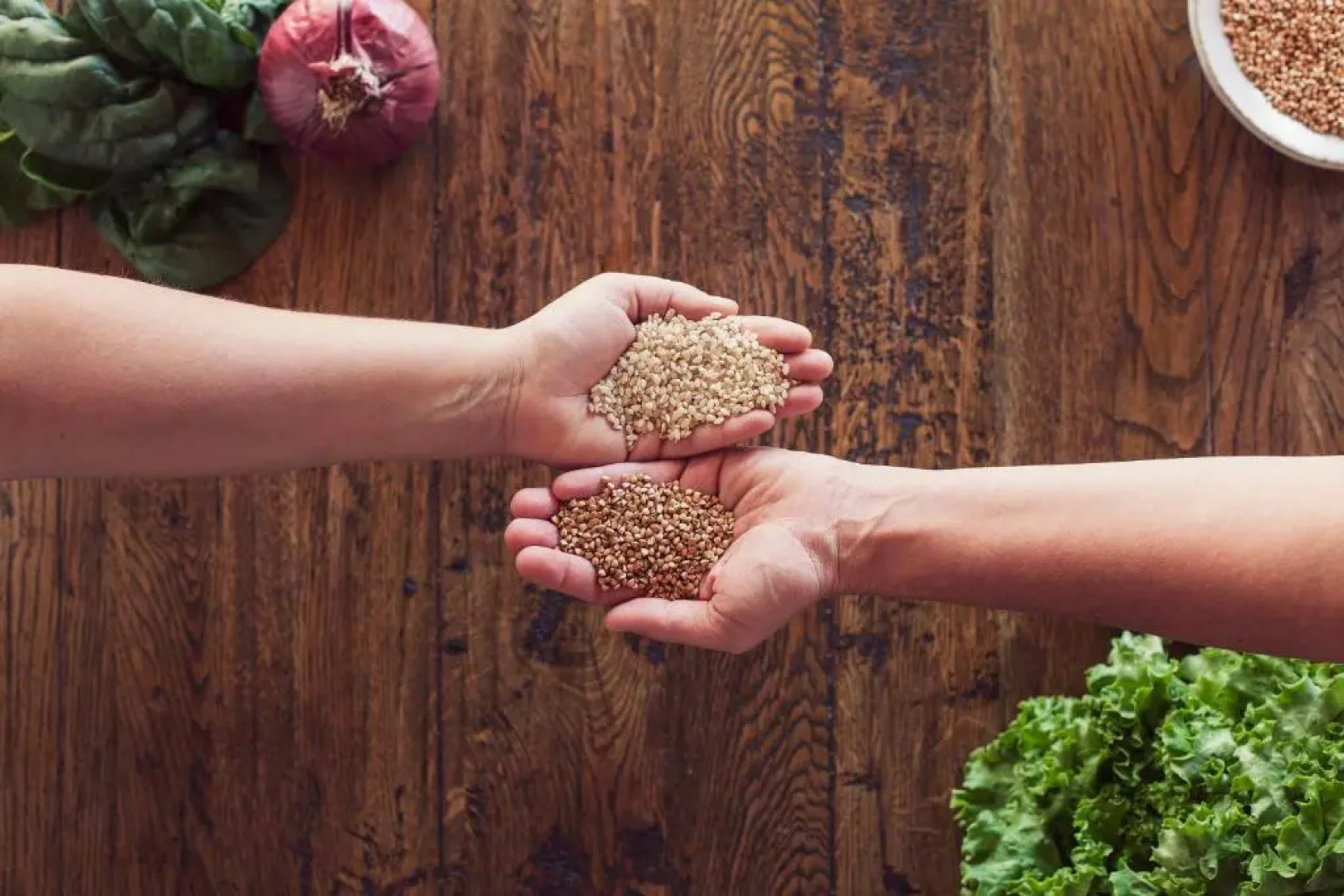 MasQi, The Energy House