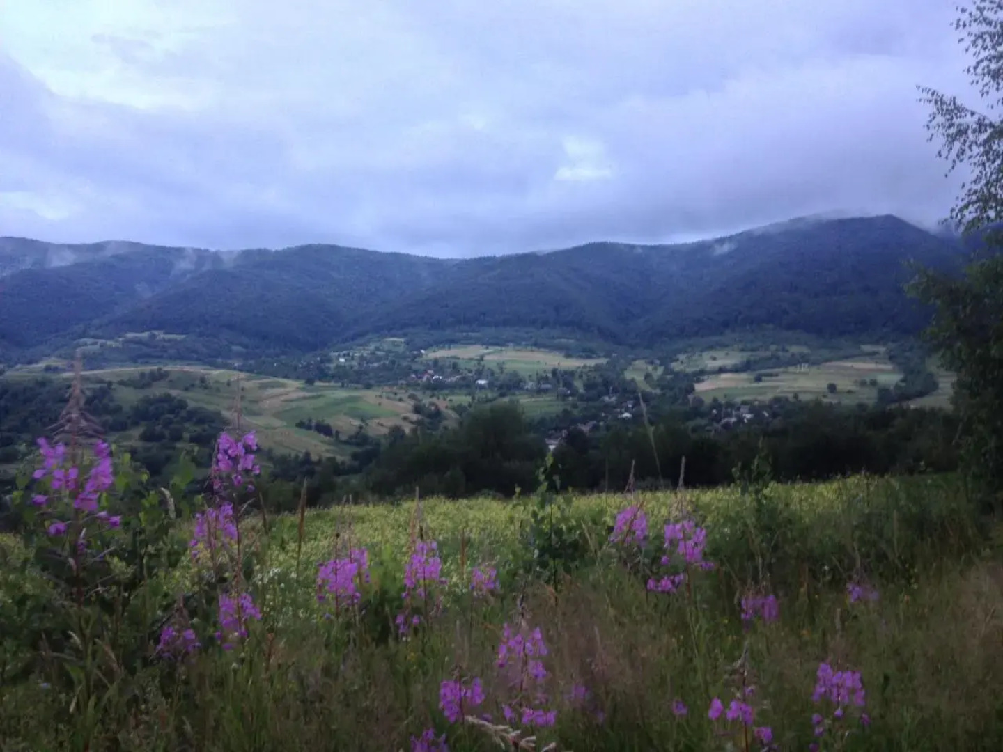 Усадьба Эрташ