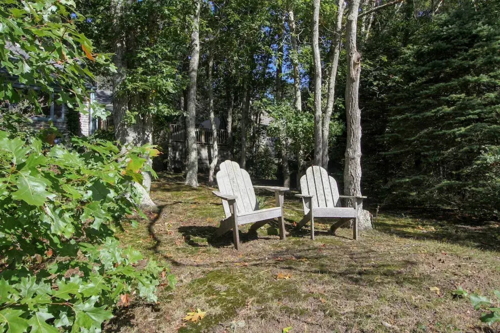 Wooded Chatham Home on the Monomoy by RedAwning