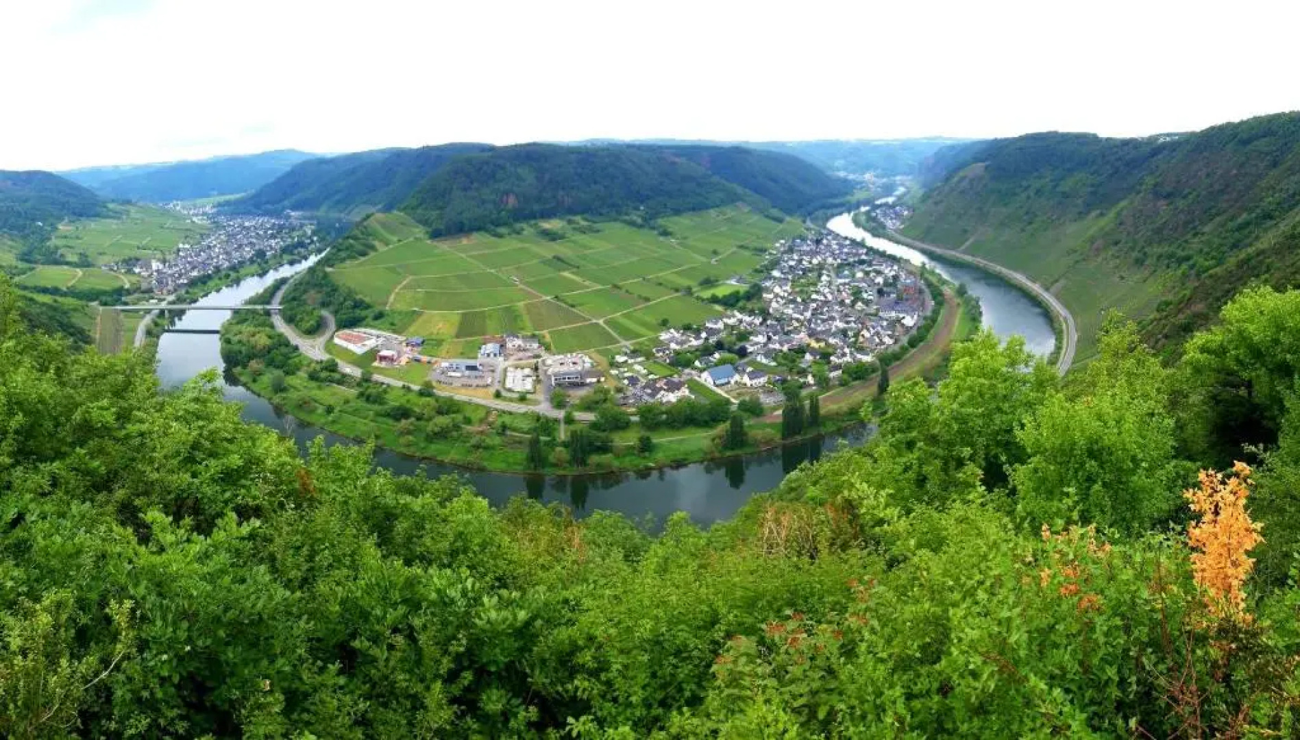 Ferienwohnung Ambiente II und III