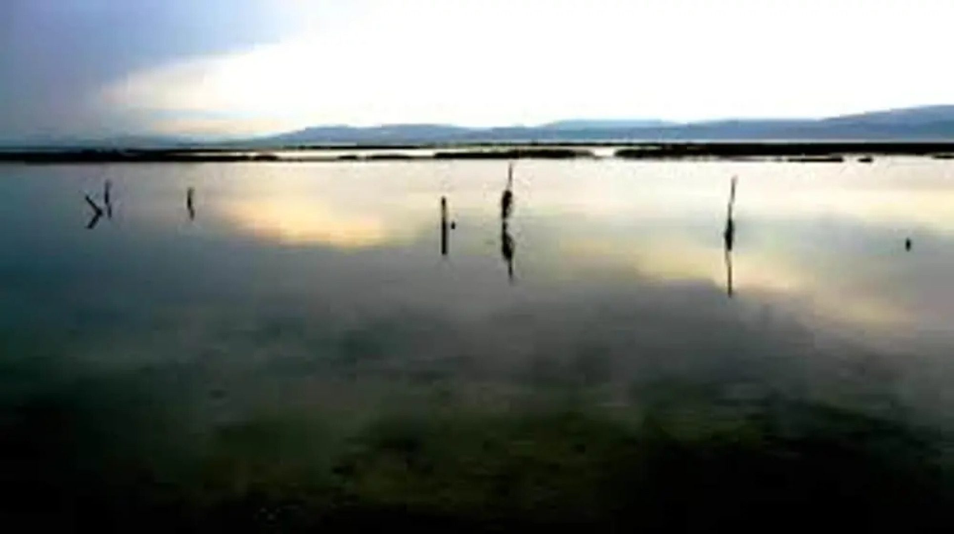 House With 2 Bedrooms in Le Barcarès, With Pool Access and Furnished G