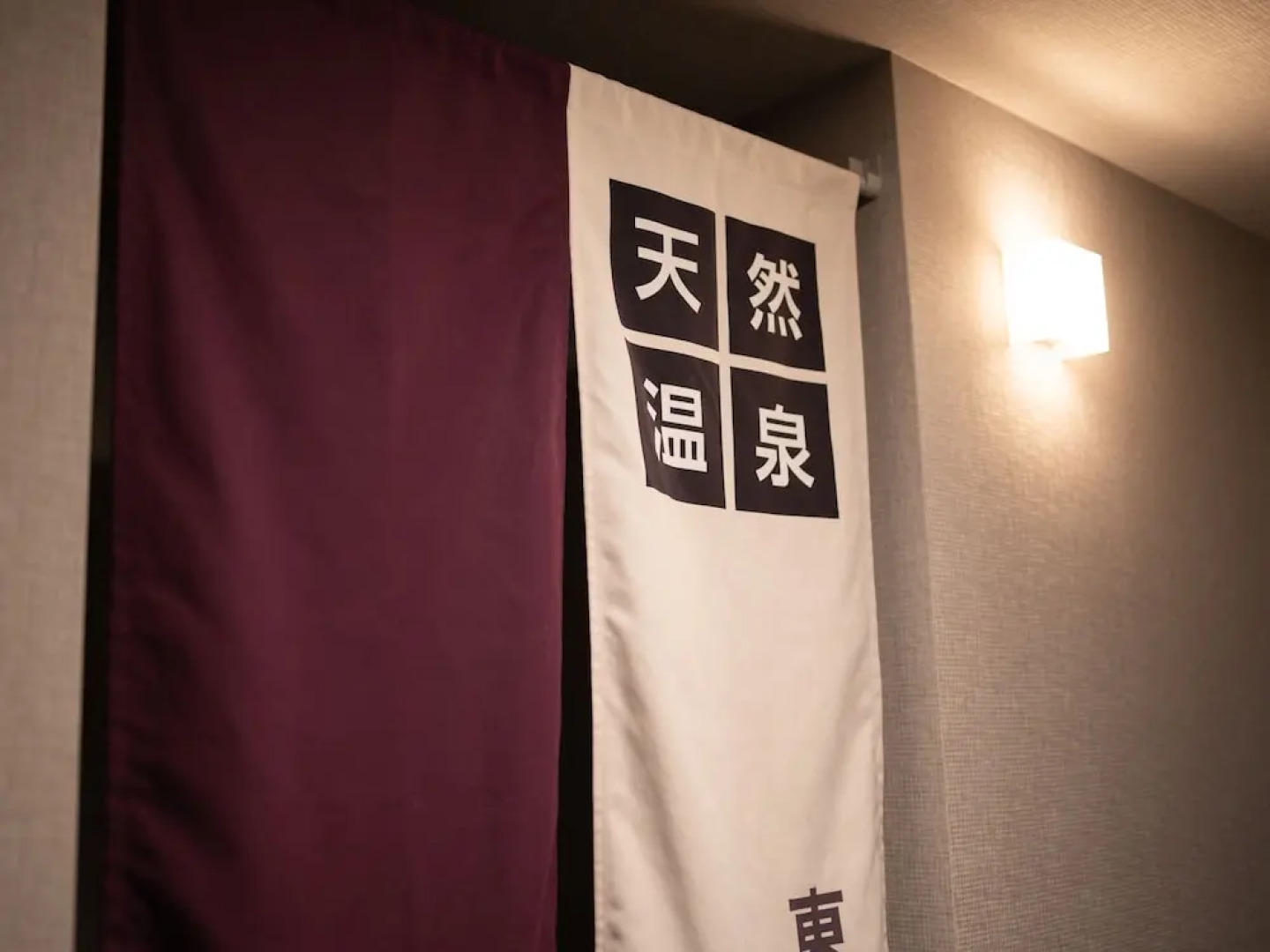 Super Hotel HigashiMaizuru