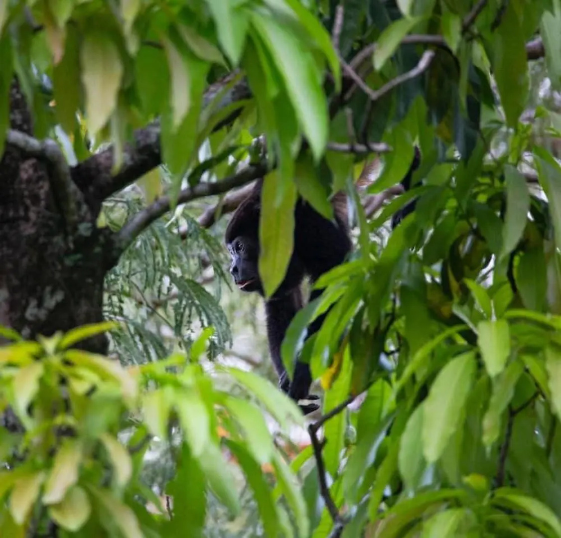 Hotel Diriá Santa Cruz