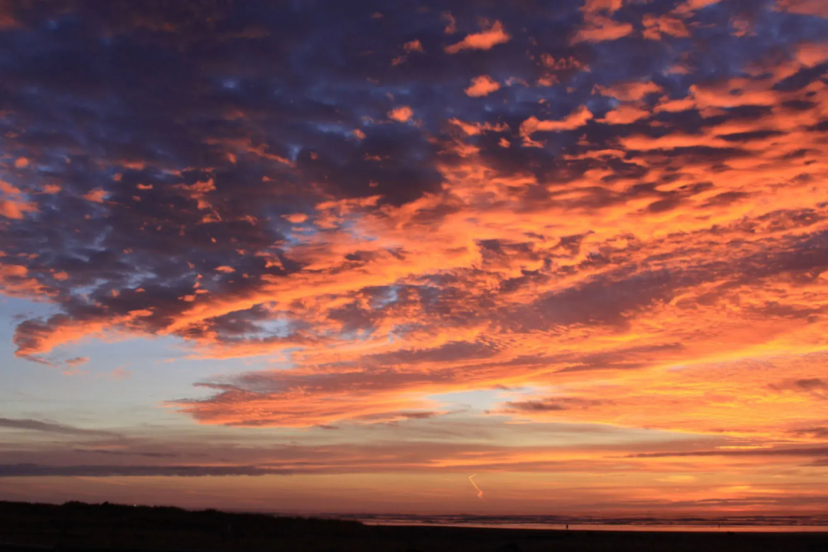 Отель Mar Vista