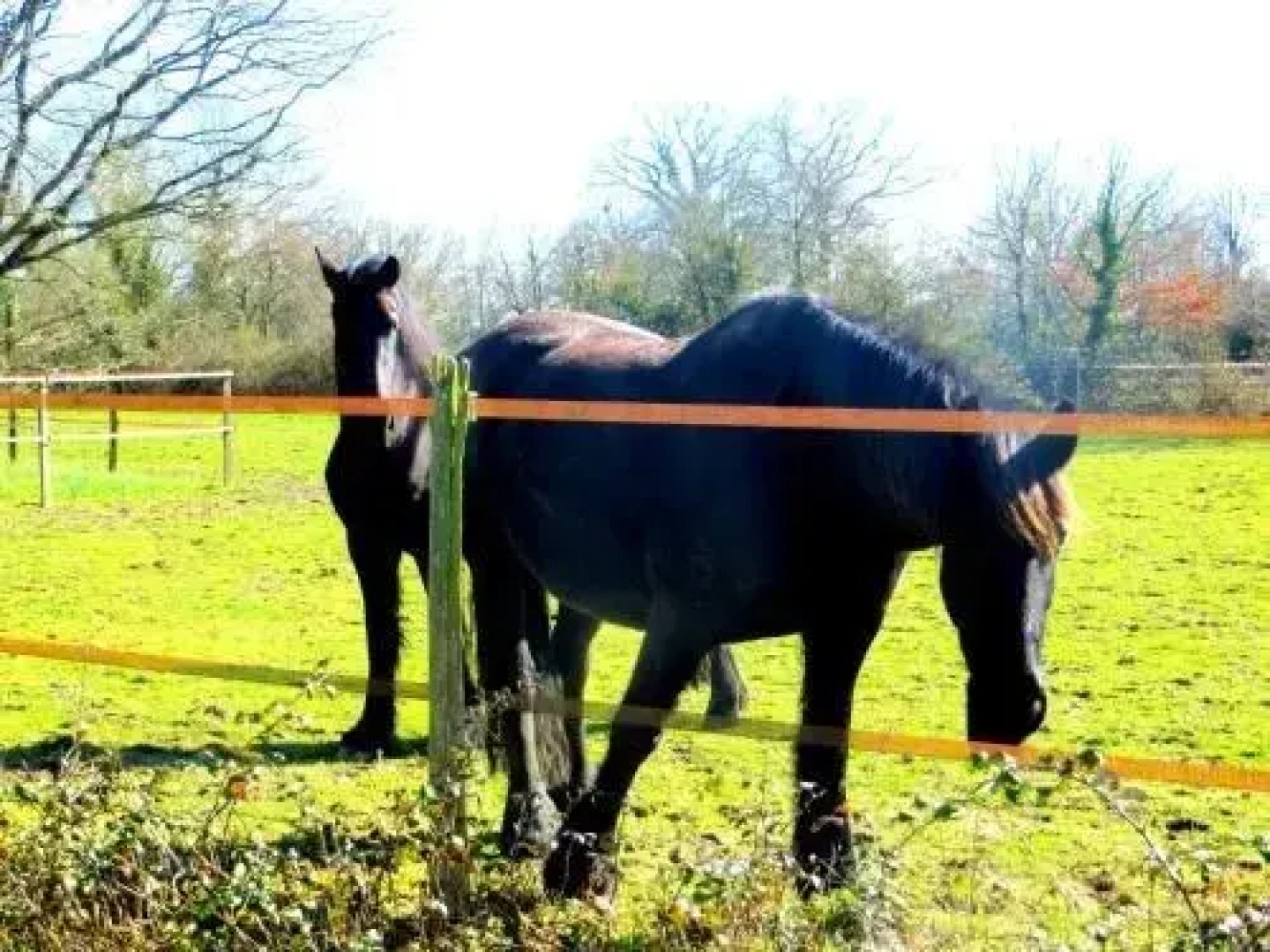 Chambres d'hôtes Ty Ruz