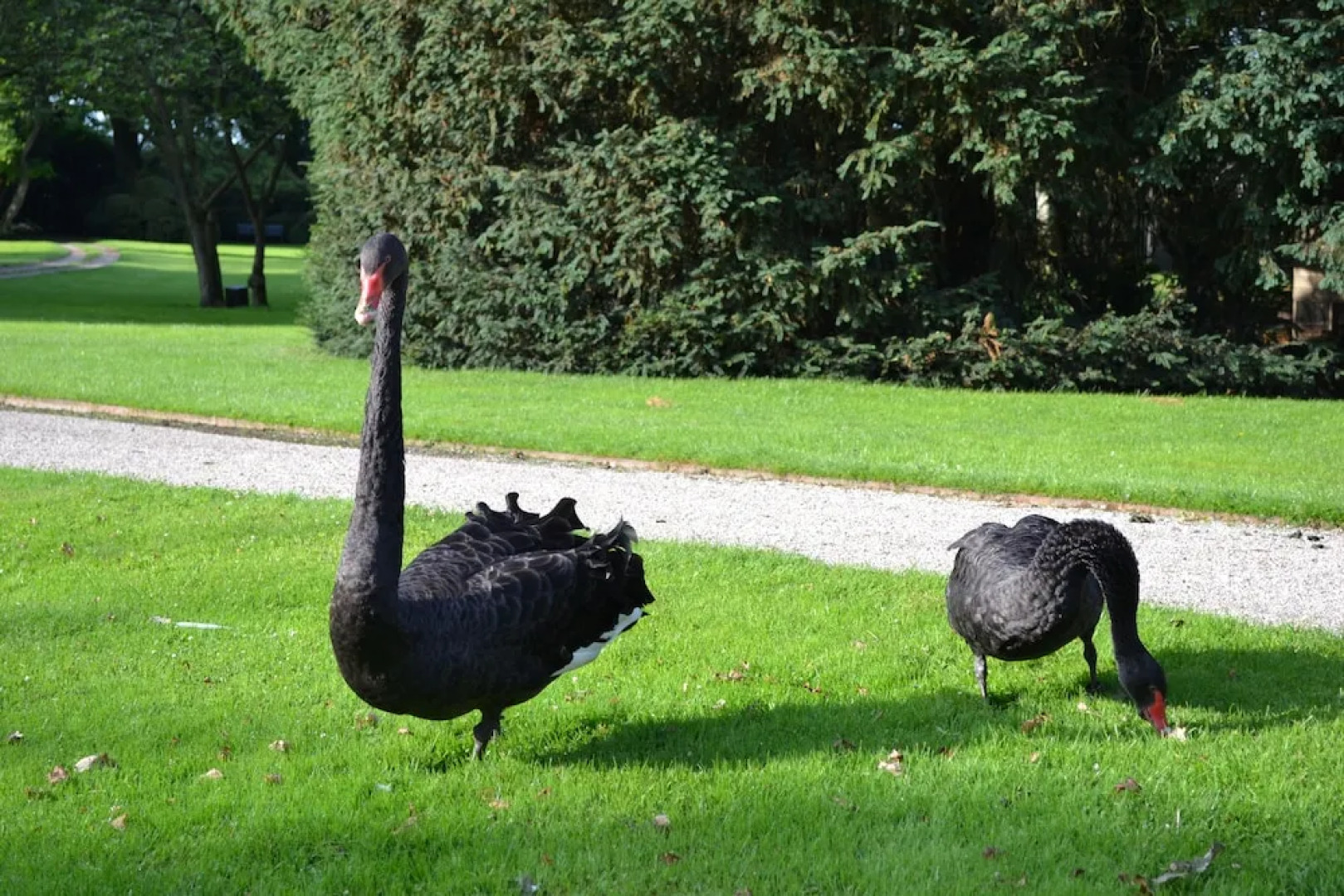 B&B Landgoed Matanze