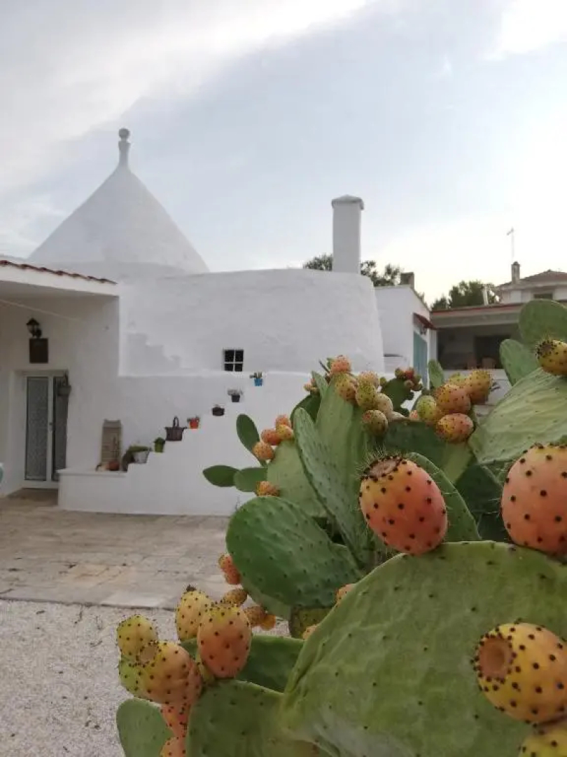 Holiday Home Trullo Antico