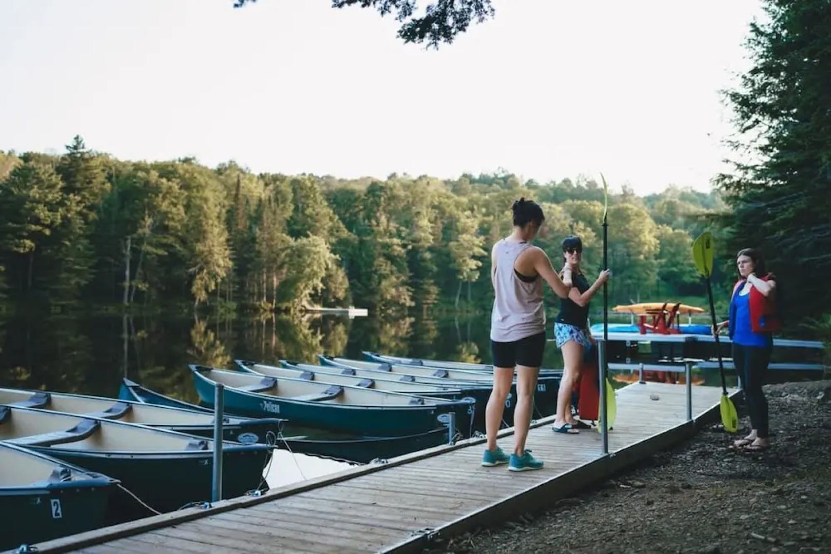 Le Cerf 40 Citq 234861