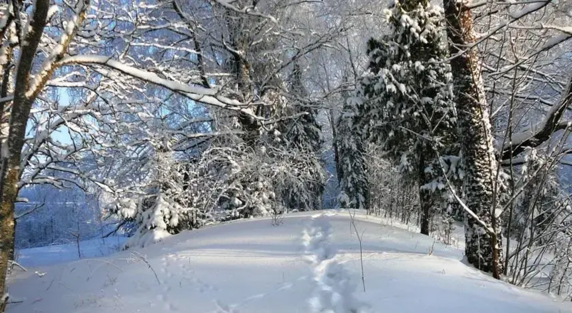 Tamme Holiday Houses Haanja