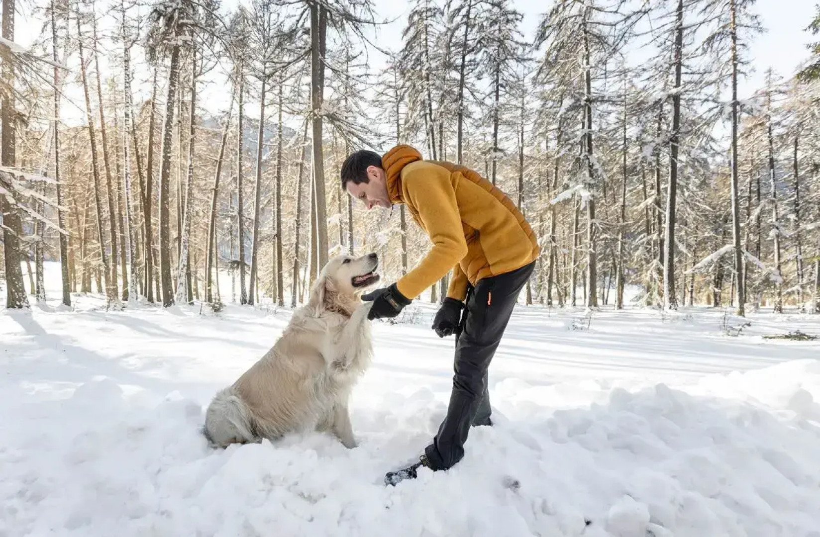 Hotel Restaurant Alpenrose