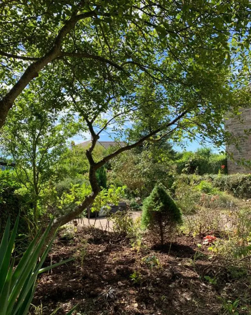 The Old Sunday School