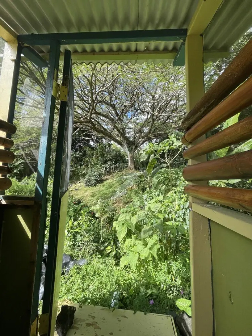 SweetSpotStay-Enchanted Grotto