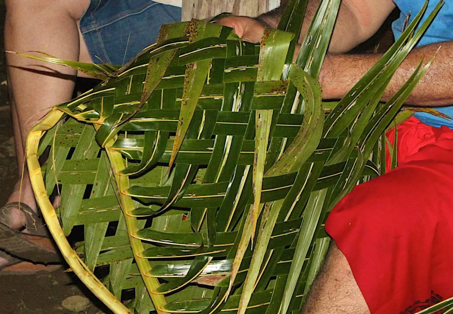 Ifiele'ele Plantation