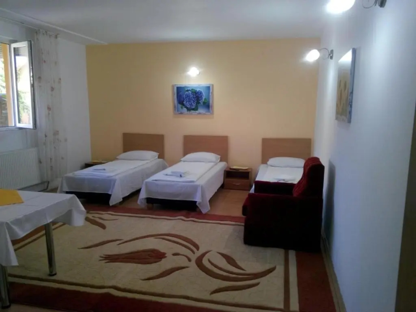 Pensiunea Vladut Timisoara