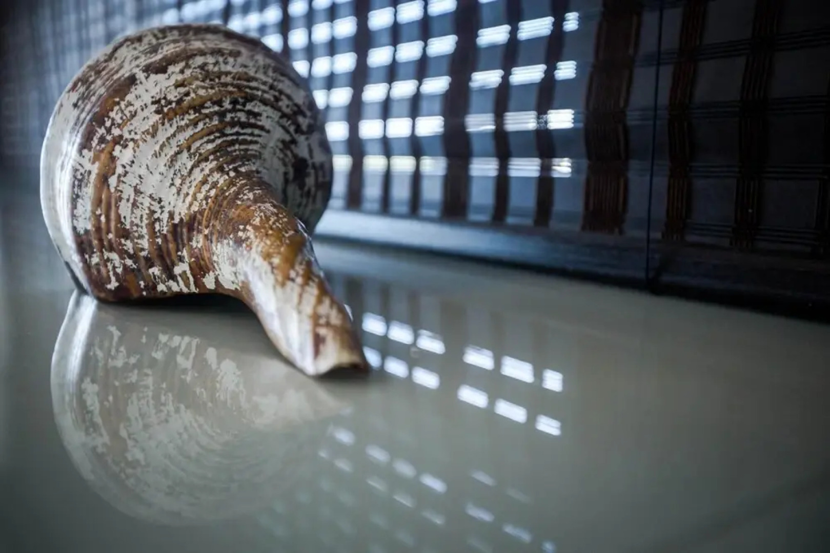 Villa Piccolo Mondo in Mali Drvenik