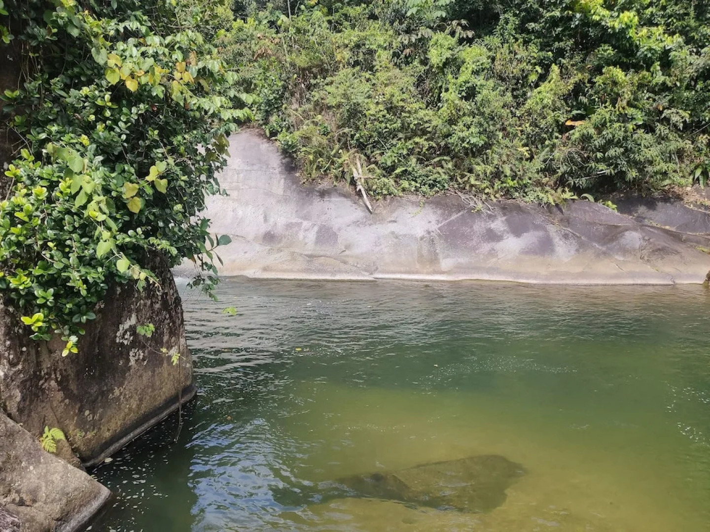 Tropical Breeze Escapes Couples Studio