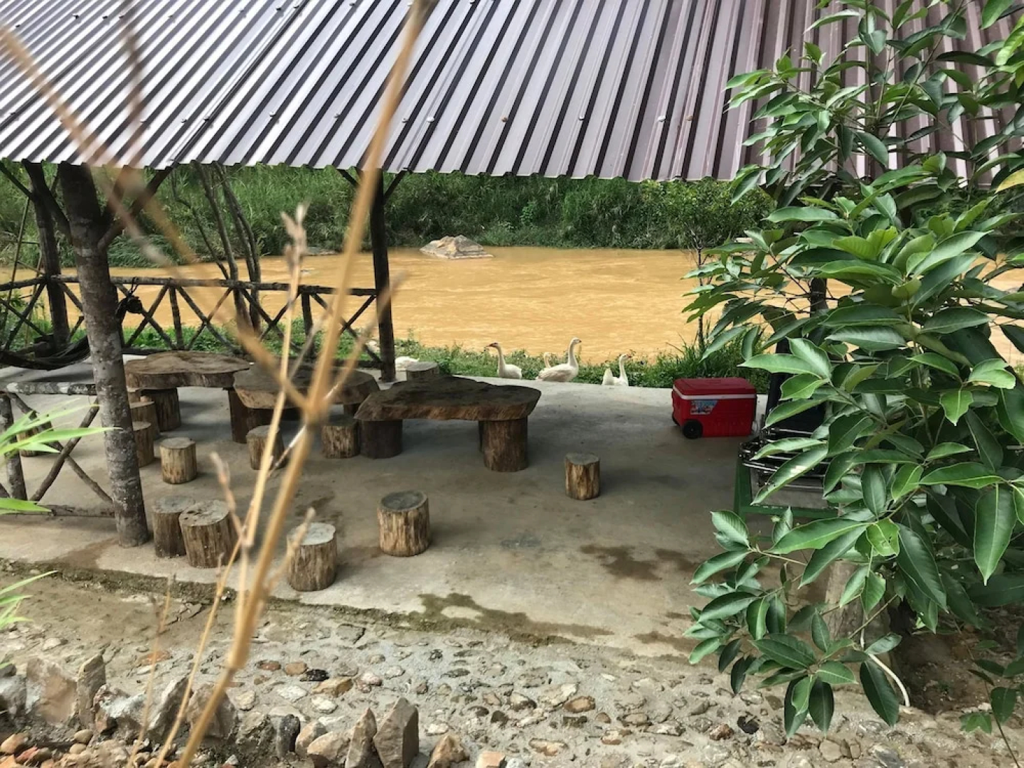 Ankroet Camp Da Lat