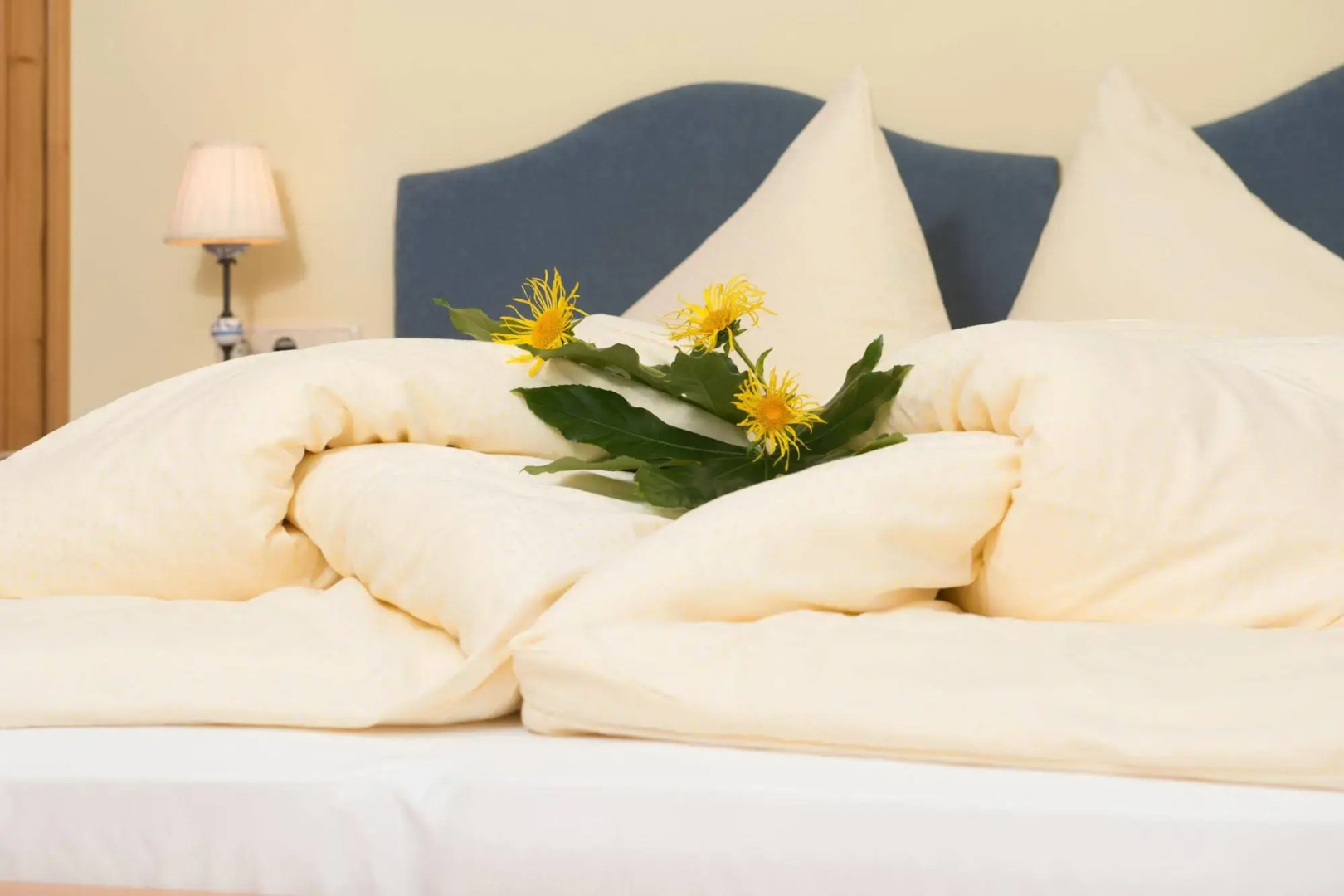 Apart-Hotel San Antonio