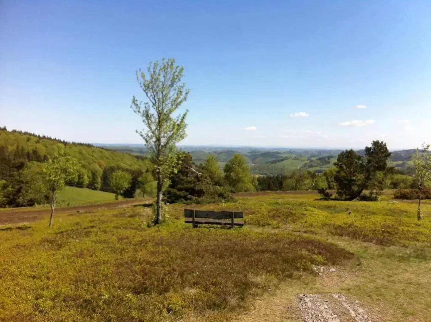 Ringhotel Posthotel Usseln