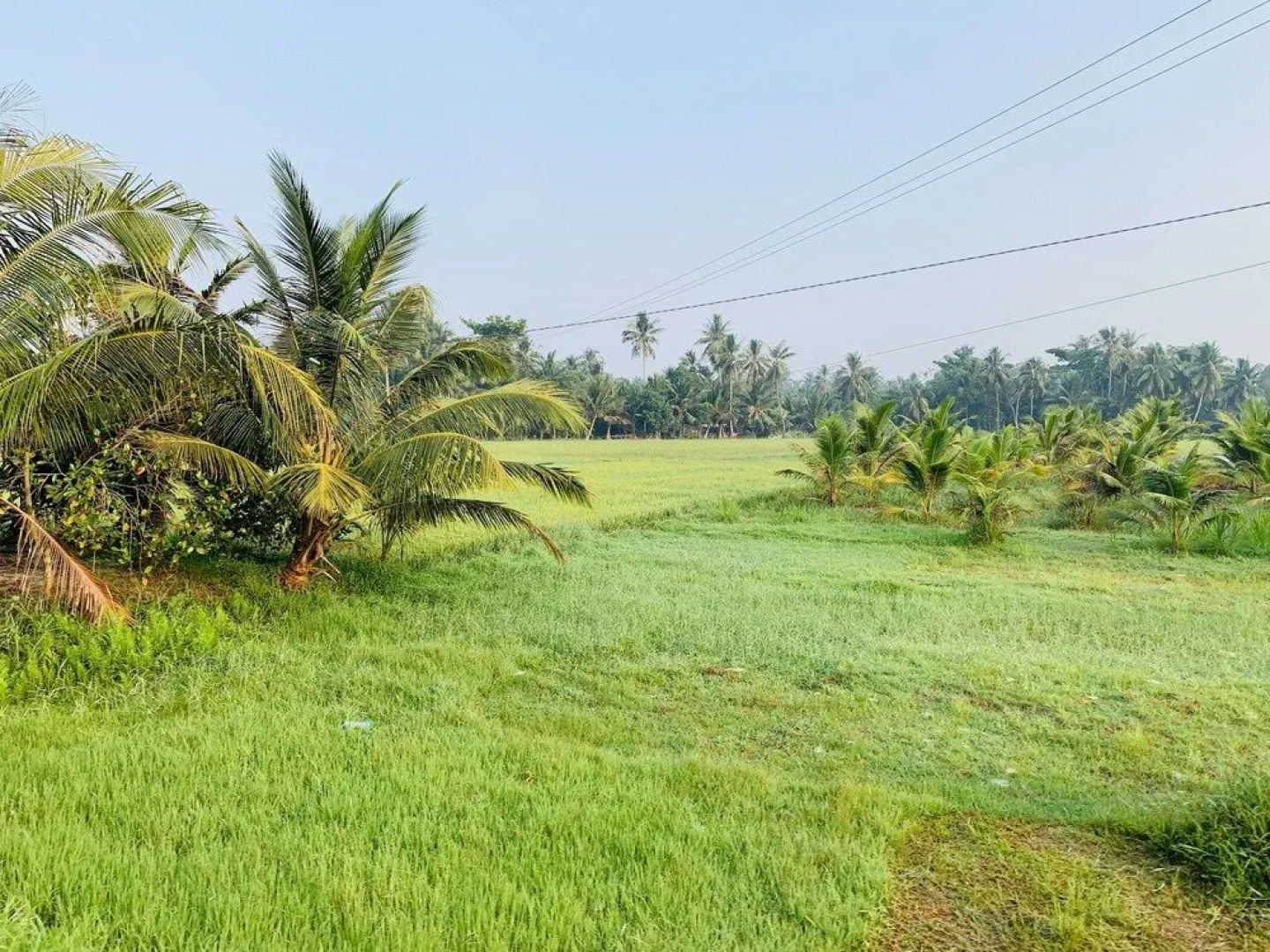 Thanh Tan Guesthouse