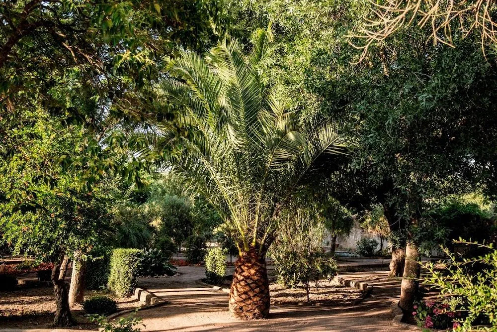 Casa Rural Castillo de Cáceres