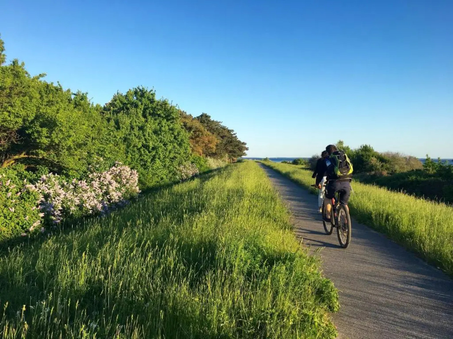 Villa "Windflüchter"