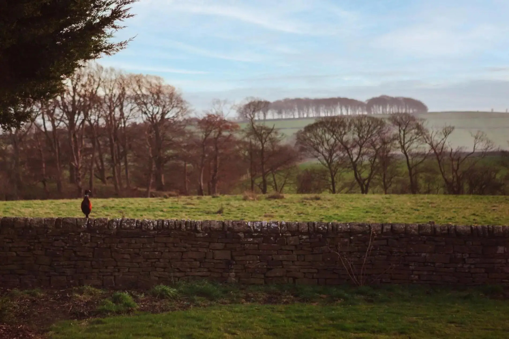 Premier Inn Chesterfield West