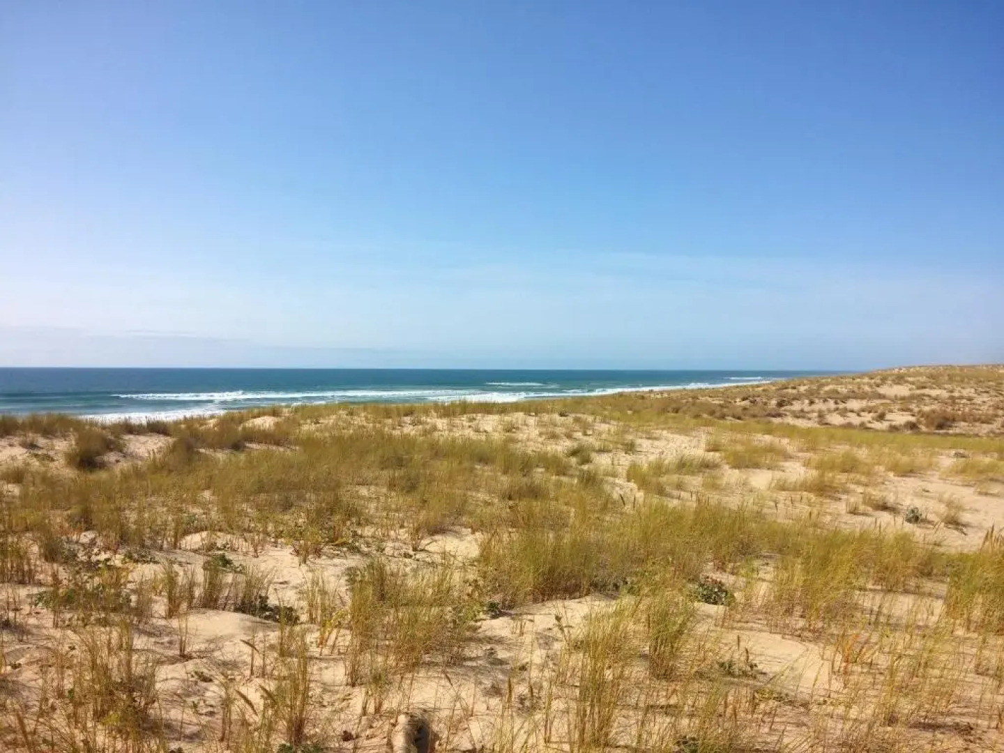 Mobilandes Sanguinet