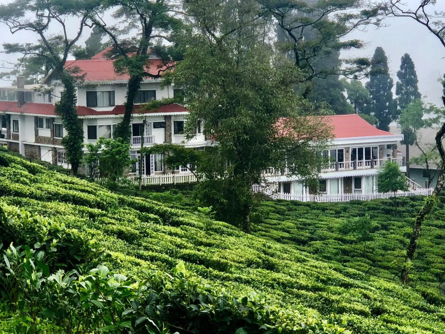 Sourenee Tea Estate & Boutique Resort