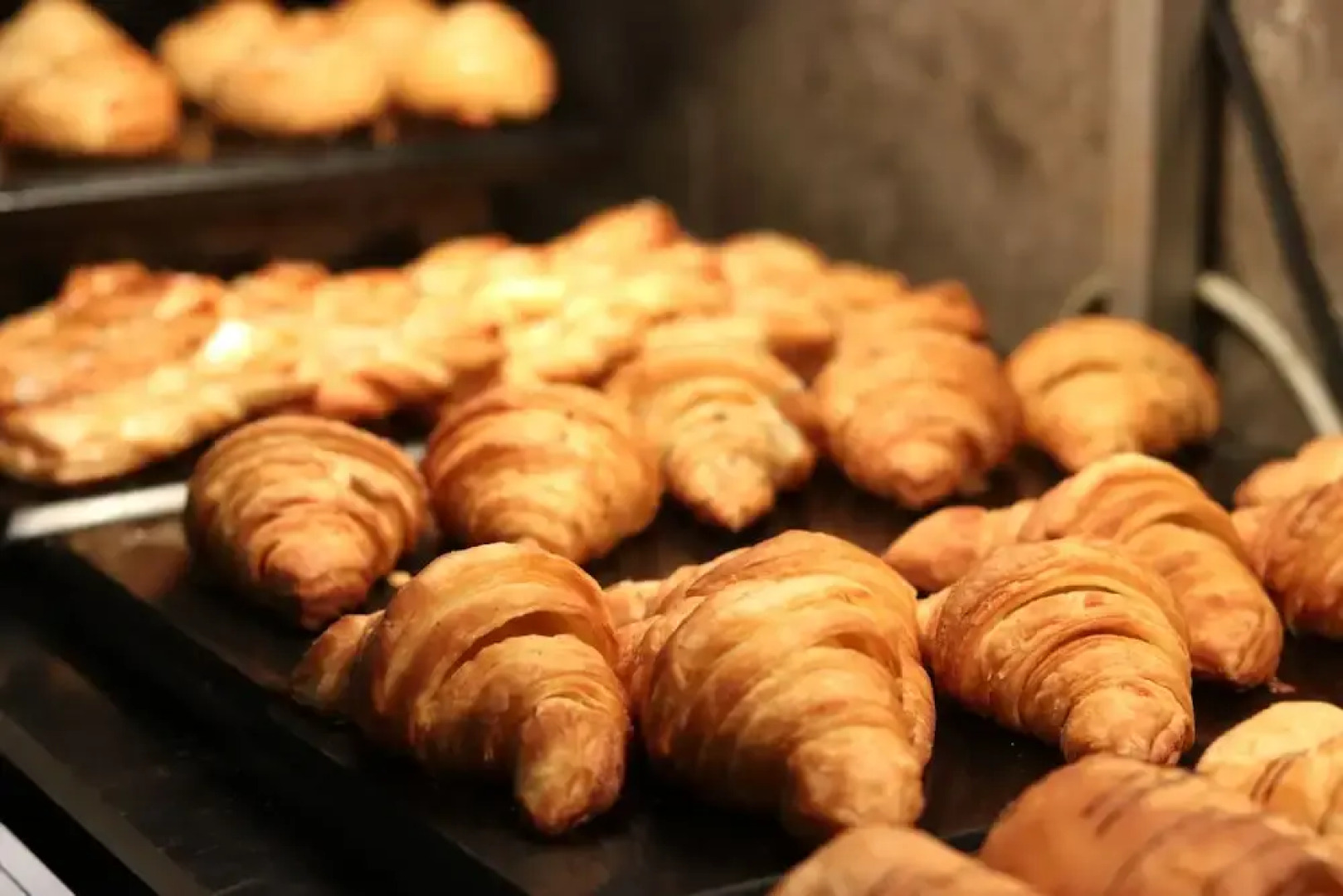 Fortune Park Galaxy, Vapi -  Member ITC Hotels' Group