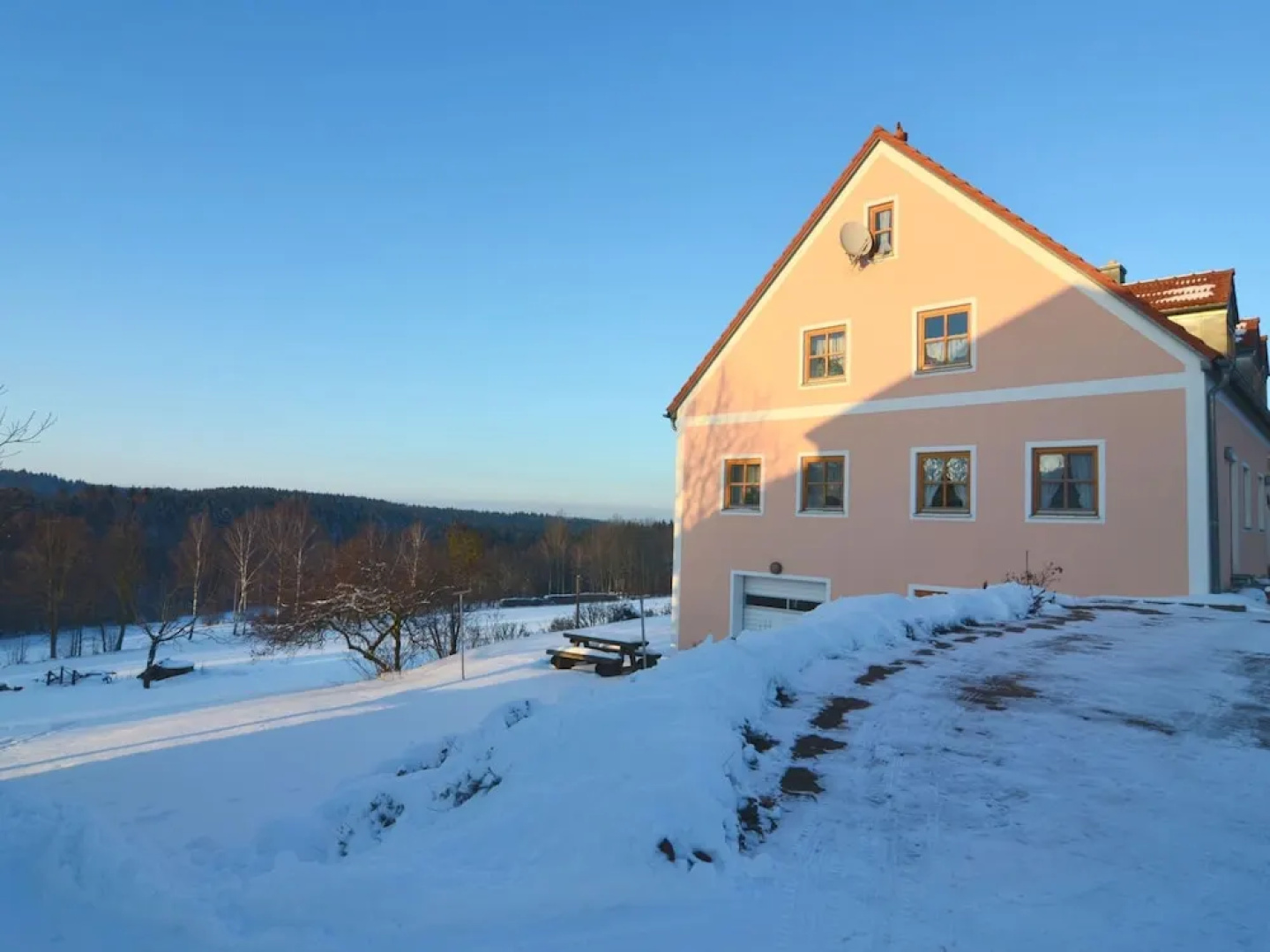 Schonsee Forest Escape