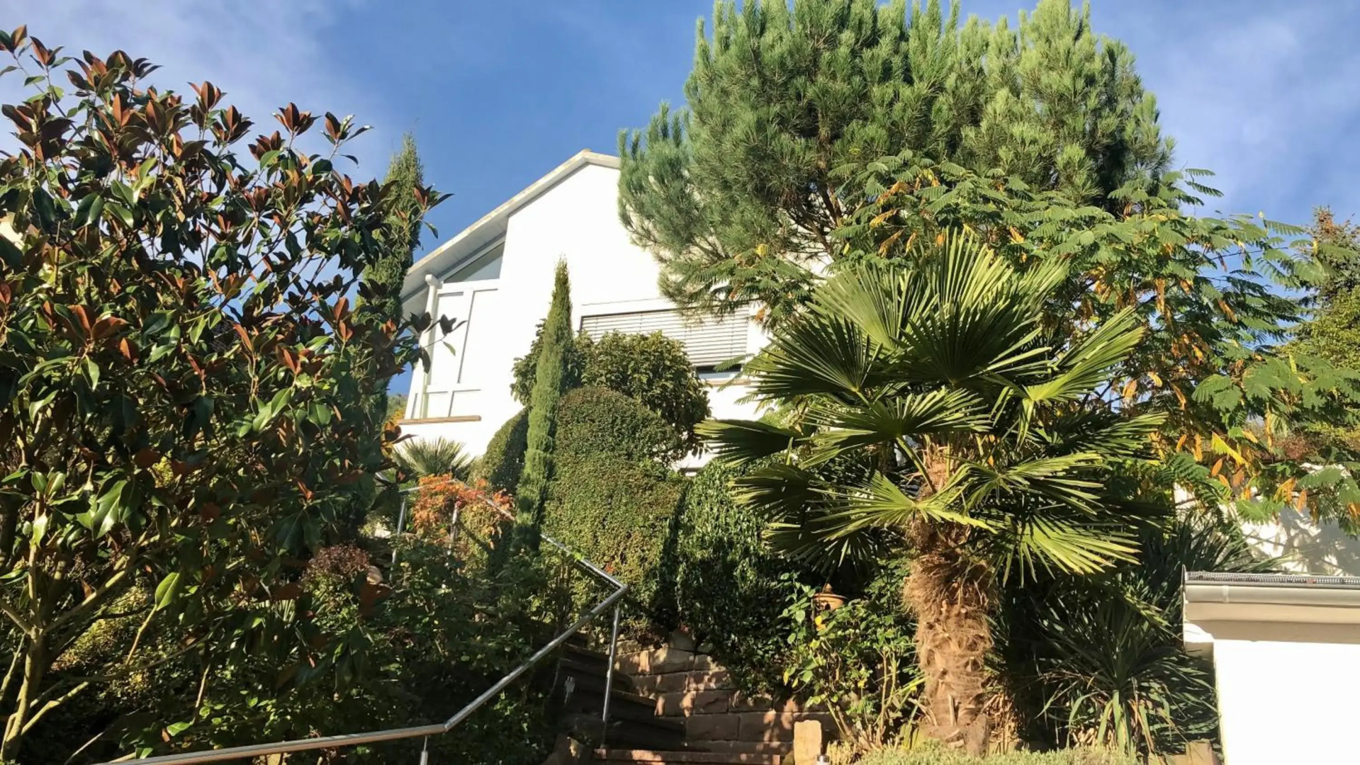 Ferienwohnung Palmenalm