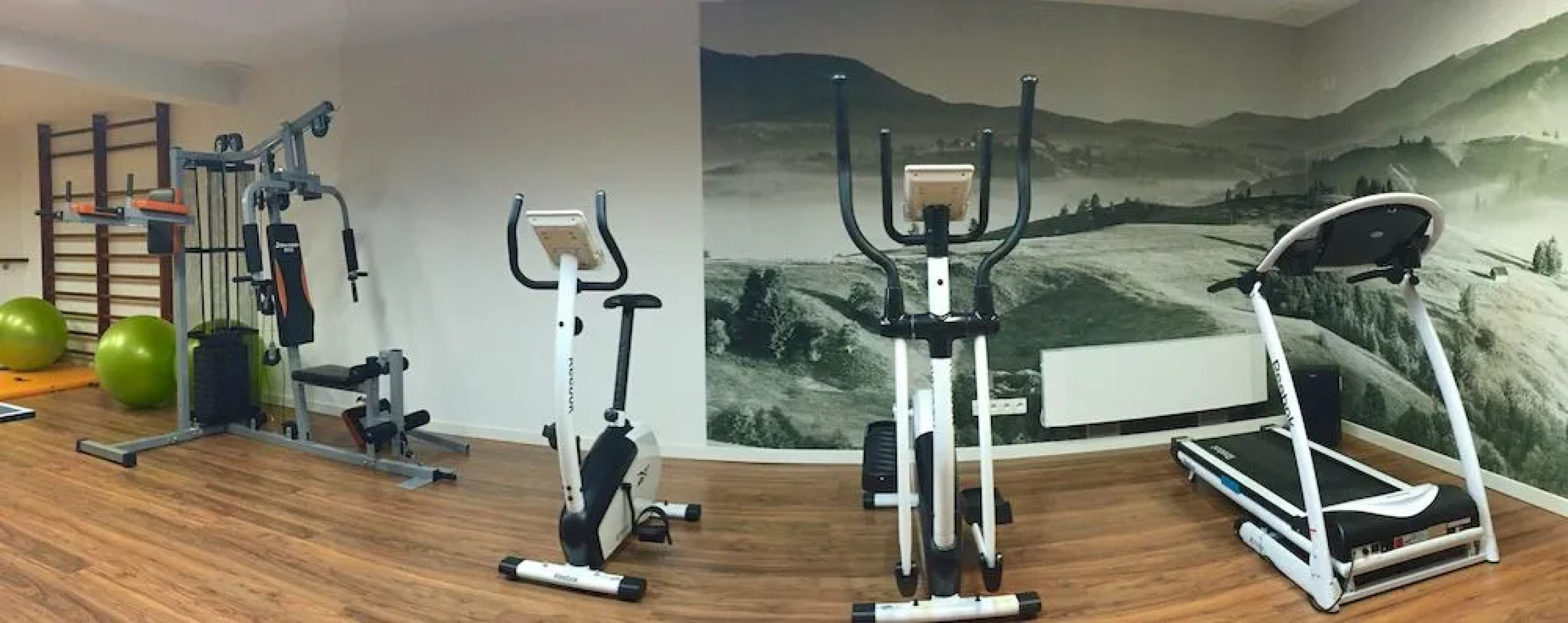 Aparthotel Flinski Sport & Spa