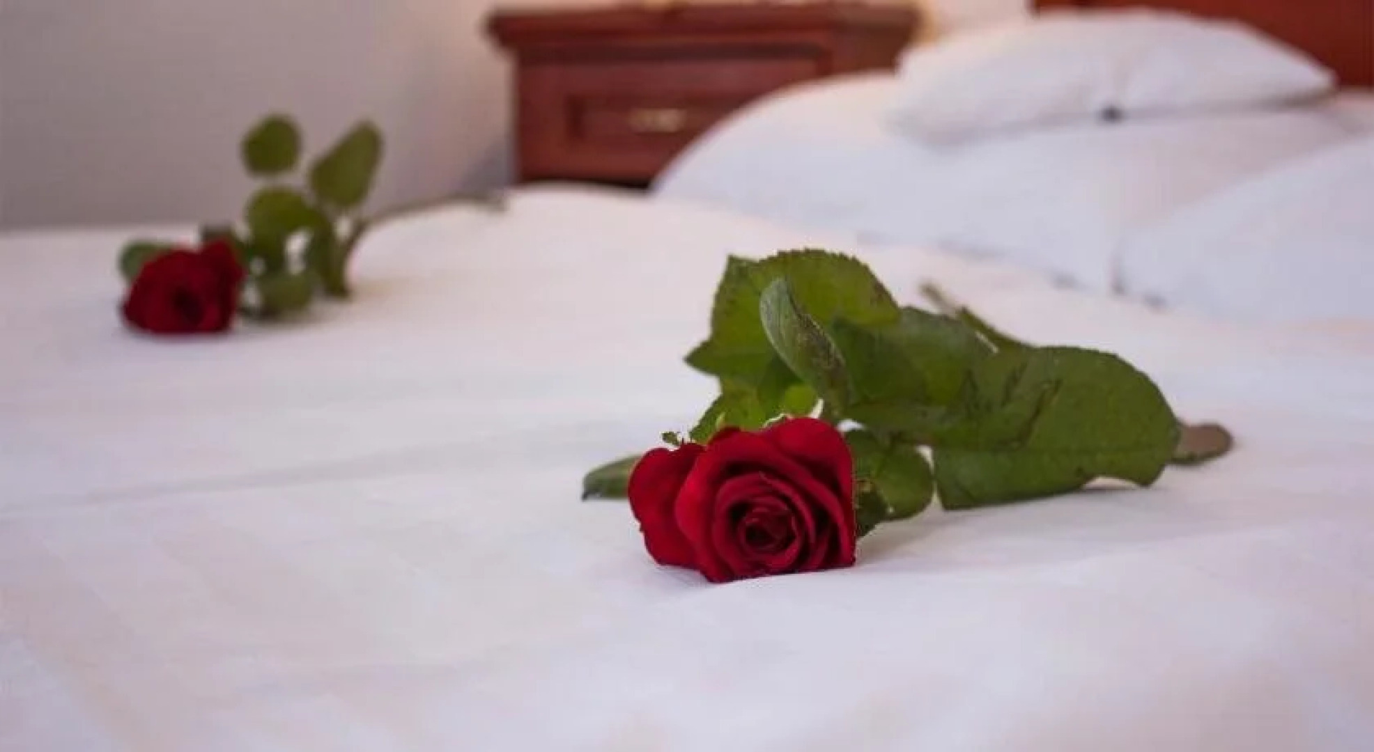 Mr. Görgey Art Hotel & Bistro