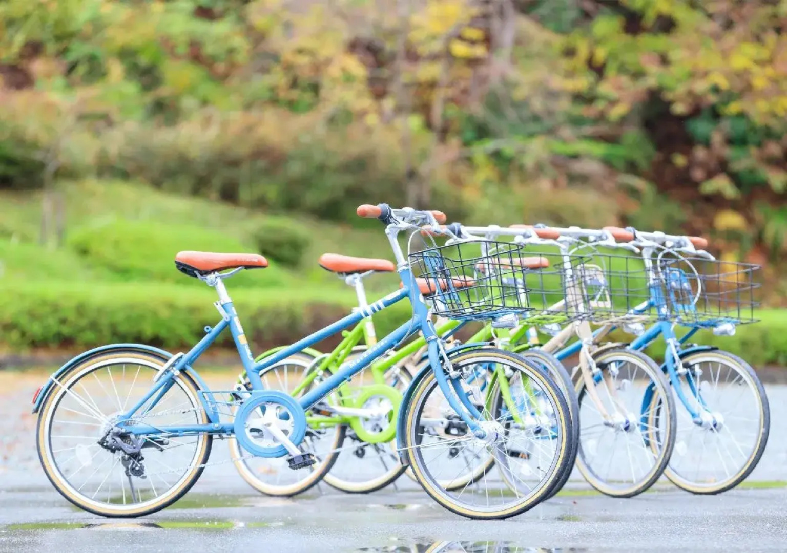 Miyama Town Nature Cultural Village Kajikaso